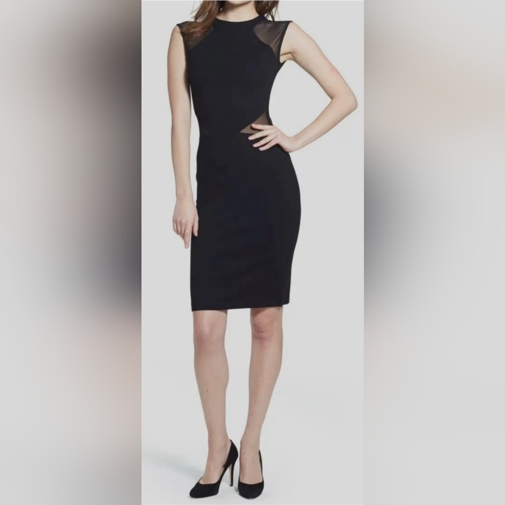 French Connection Elegant Black Sheer Mini Dress